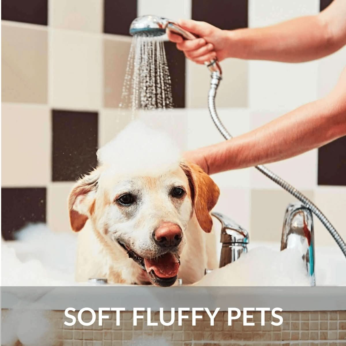 Dog being bathed in soft water filtered water in bathtub